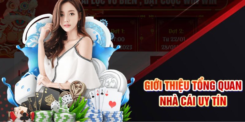 Giấy phép hoạt động OK9 rất uy tín